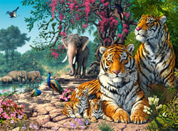 Puzzle 3000 pièces - Le Sanctuaire des Tigres - Castorland
