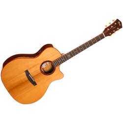 Gold-A10 Cocobolo Naturel Brillant Cort