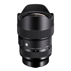 SIGMA Objectif 14-24mm f/2.8 DG DN ART compatible avec Monture L