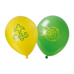 Robin des Bois™ - Ballons Ø 30cm, lot de 6