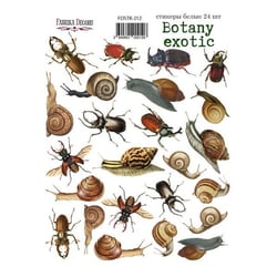 Planche de stickers couleur embelissement Fabrika Decoru BOTANY EXOTIC 212