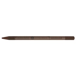 Crayon pastel - Bistre - 60 - Sans bois - Sennelier