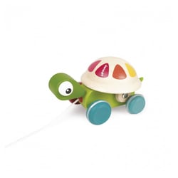 Tortue a promener Zigolos - Janod - Aqua