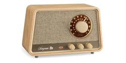 Sangean WR-101 Chêne clair - Enceinte Bluetooth