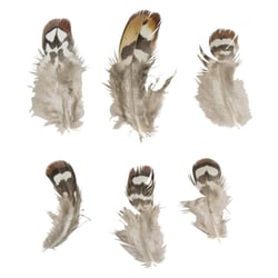 Plume de pintade, 7,5-13cm, 6pces