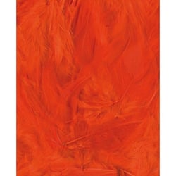 PLUMES ORANGE - 12 CM