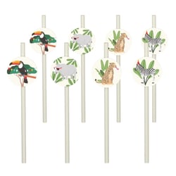 Paille - lot de 8 - Animaux de la Savane