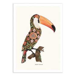 Affiche 30x40 cm - Boho Toucan - Jonas Loose