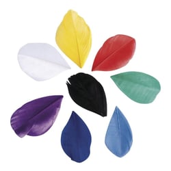 Plumes coupées, Colore, 5 - 6cm, 36 pces