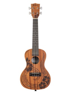 Kala KA-UNITY-C-BAG - Ukulele avec housse - Concert 