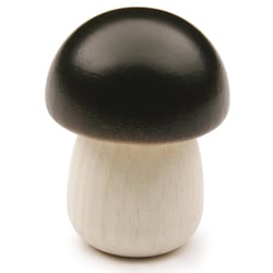 Bolet - Erzi