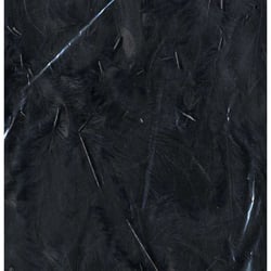 PLUMES NOIRES - 12 CM