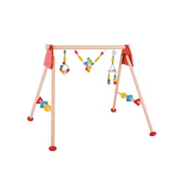 Baby Gym - Arc-en-ciel bois