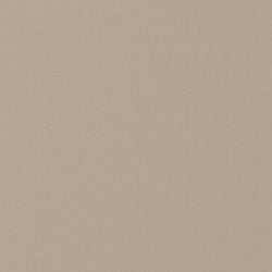 Tissu Coton enduit uni Gris galet