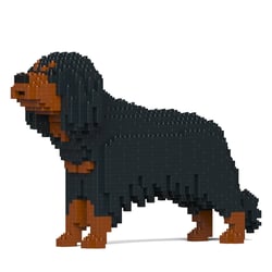 Chien Cavalier King Charles Spaniel noir et feu Taille standard | JEKCA | 14 ans et +