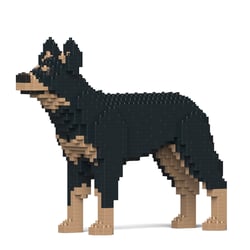 Chien Kelpie Australien Taille standard | JEKCA | 14 ans et +