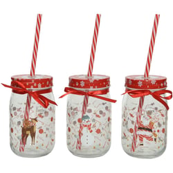 Chope Verre Noël Renne