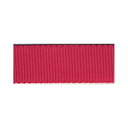 Disquette 16m Gros Grain Petersham FUCHSIA