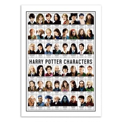 Affiche 30x40 cm - Harry Potter Characters - Olivier Bourdereau