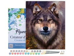 Peinture par Numéro Figured'Art avec Cadre - Tête de loup - Kit de Loisir Créatif DIY Numéro d'Art Complet - 40x50cm toile tendue sur châssis