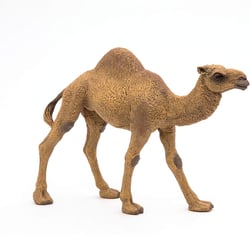 Figurine Dromadaire - Papo