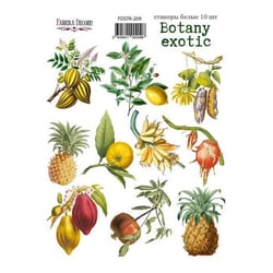 Planche de stickers couleur embelissement Fabrika Decoru BOTANY EXOTIC 209