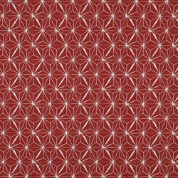 Tissu Coton enduit Casual sur fond Rouge