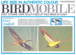 Birdmobile Bergeronnette des ruisseaux