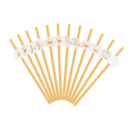 12 Pailles Daisy