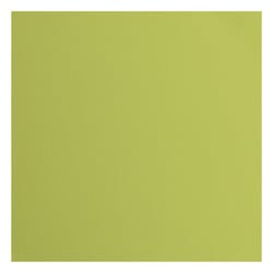 Papier cartonné texturé Florence - Pistachio - 20 feuilles - 30,5 x 30,5 cm - 216 g/m²