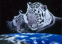 Puzzle 1500 pièces - Schim Schimmel - Sleep Tight - Grafika