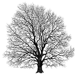 TAMPON ARBRE - 100X100 MM -BOIS