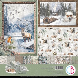 8 papiers scrapbooking carterie 30 x 30 cm Ciao Bella FOREST TALES