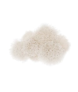 Kit de Point Noué Hooki Hooki – Nuage de Rico Design : Une Tenture Murale Poétique et Facile à Réaliser Blanc
