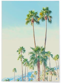 Poster Nature Tropicale 4 | A3 : 29,7x42cm
