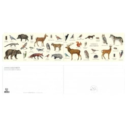 Longue vue editions - Animaux des forêts - Carte double
