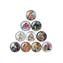 10 cabochons rond en verre assorties 25 mm OISEAU