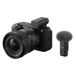 SONY Micro ECM-W3S