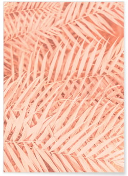 Poster Feuilles de Palmier Tropical | A3 : 29,7x42cm
