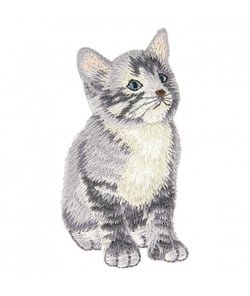 Ecussons Thermocollant Chats 3,5 X 6,5 cm - Mediac Gris