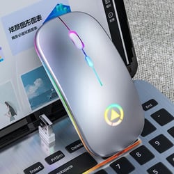 Souris Sans Fil Rechargeable RGB Silencieuse 1600DPI 3 Modes Ajustables Gris YONIS