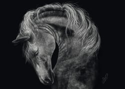 Puzzle 1000 pièces - Puissant – Le Cheval : Sous le Signe de la Force - Schmidt Spiele
