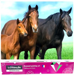 Diamond Painting Broderie Diamant LUMINLIFE 40x50cm, 100% strass, diamants ronds - Chevaux merveilleux