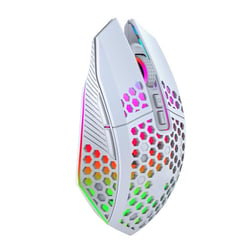 Souris Gaming Sans Fil Rechargeable 1600DPI 8 Boutons RGB Légère et Silencieuse YONIS
