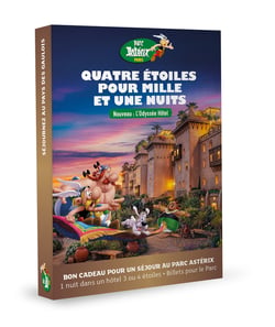 Coffret cadeau Parc Astérix : 4 étoiles pour 1001 nuits