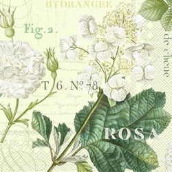 Lot de 4 serviettes en papier découpage collage 33 cm FLEUR BLANCHE FEUILLAGE FL 504