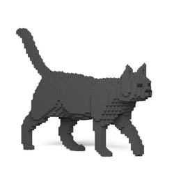 Chat gris | JEKCA | 14 ans et +