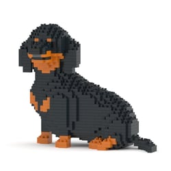 Chien Teckel qui tourne la tête noir et feu Taille standard | JEKCA | 14 ans et +