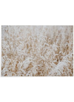 Poster Nature Winter 4 | A3 : 29,7x42cm