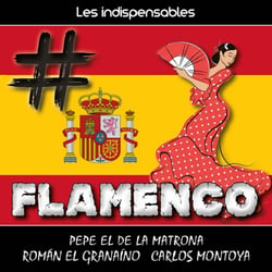 Les indispensables : flamenco - CD
